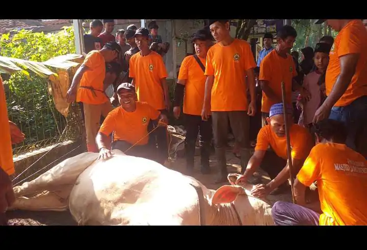 Semangat Kebersamaan Warnai Penyembelihan Hewan Qurban Idul Adha 2024 di Dusun Cadasmalang